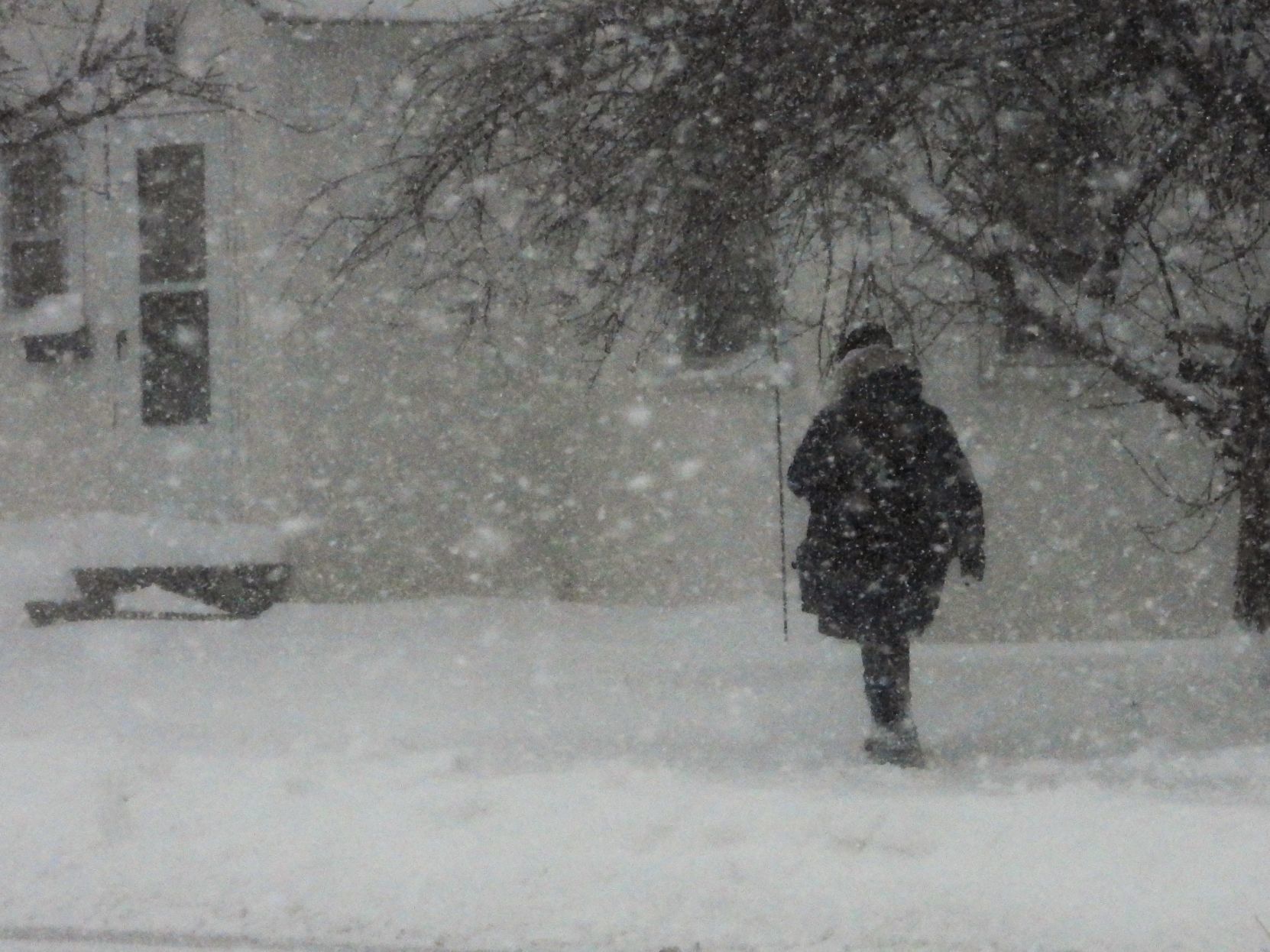 Black Hills Blizzard6.jpg
